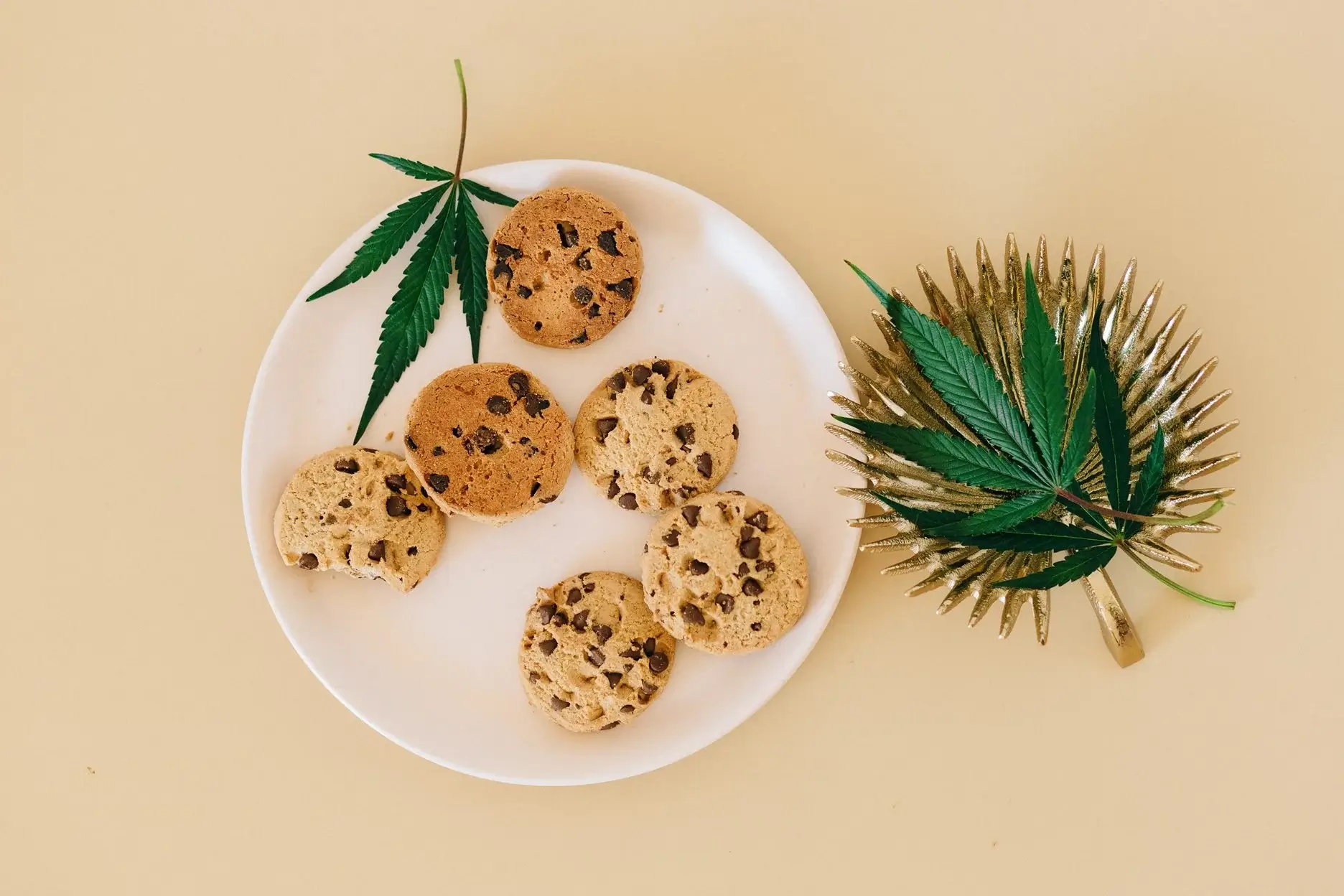 What Are the Effects of Cannabis Edibles